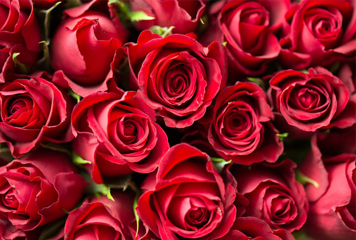 regali San Valentino