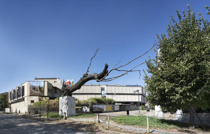 concorso Gam TOrino