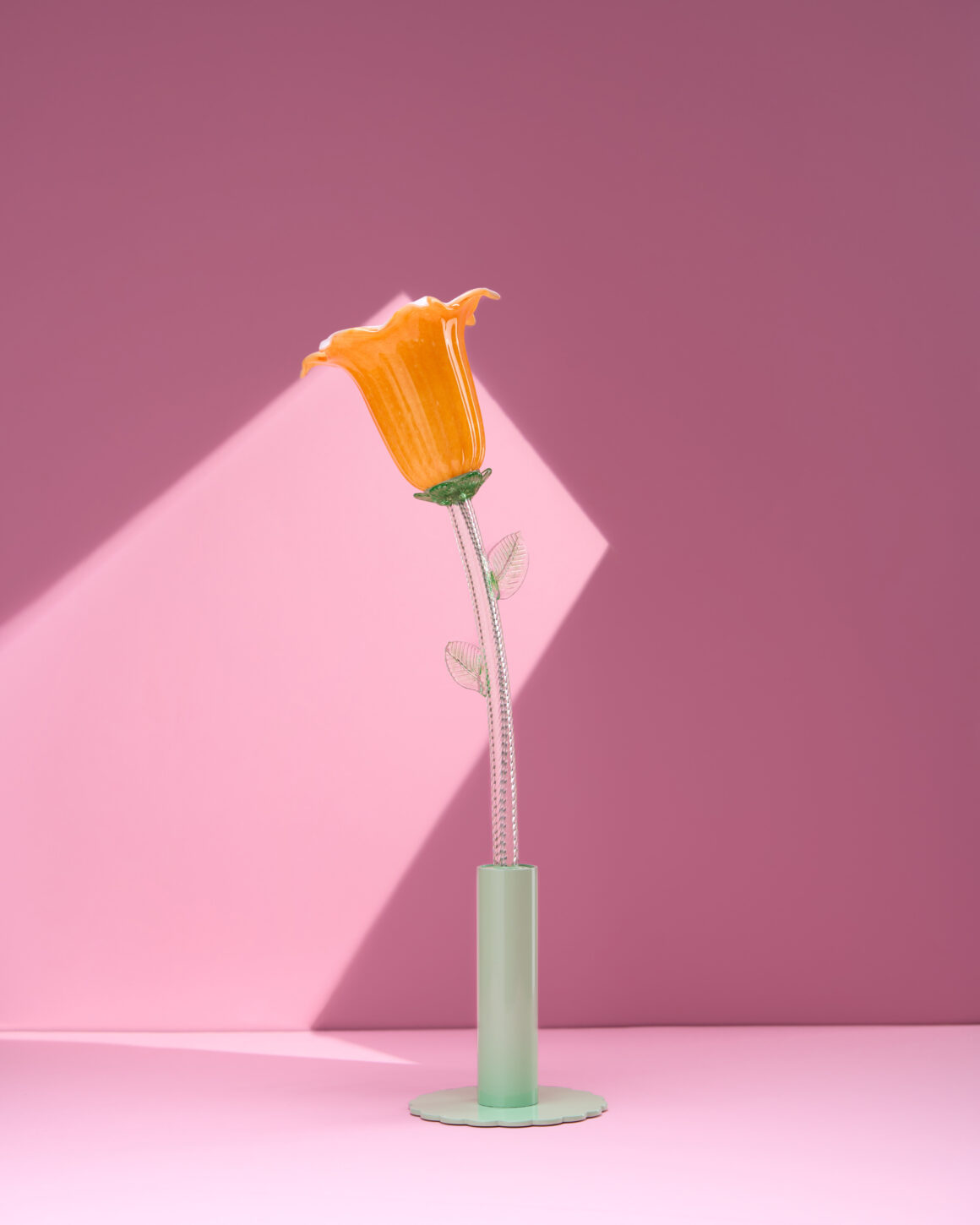 flowers-in-wonderland