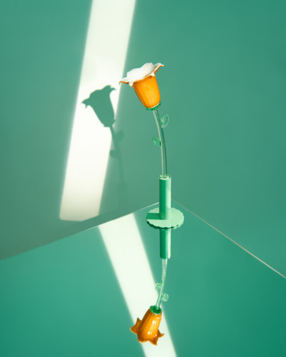 flowers-in-wonderland