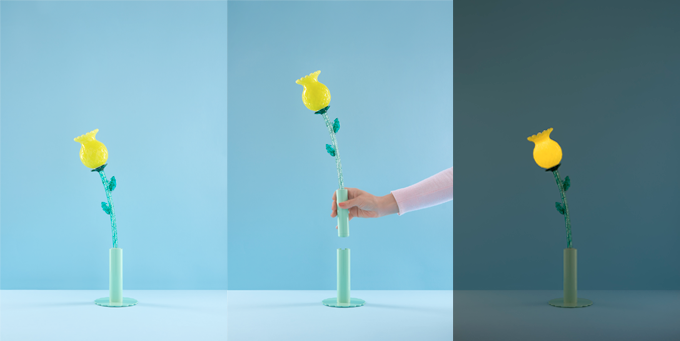 flowers-in-wonderland